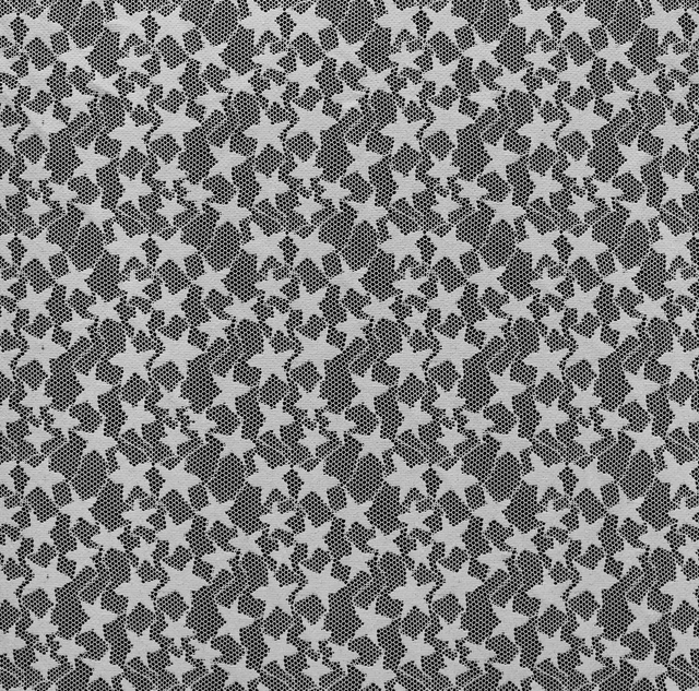 High Quality Flower Stretch Lace Fabric for Lingerie And Dress JL5062#